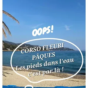 Splendide 6 P à 150 M Plage, à Pied Appartement